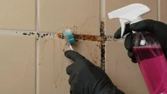 Jak se zbavit plísně ve spárách mezi dlaždicemi a vrátit jim původní vzhled